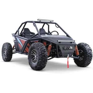 Lucky T9 2 Seat Electric UTV with Lithium Battery, Powerful Dual Electric Motors