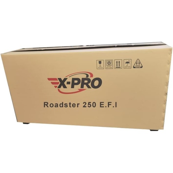 X-PRO 250cc 6 Speed EFI Fuel Injection Dirt Bike Motorcycle Bike Street Bike - Image 6