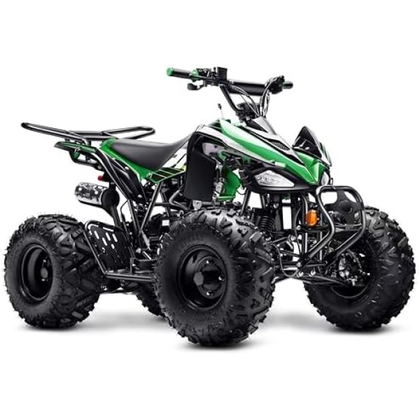 Automatic 125cc ATV with Reverse – Utility ATV Four Wheeler Gas Powered