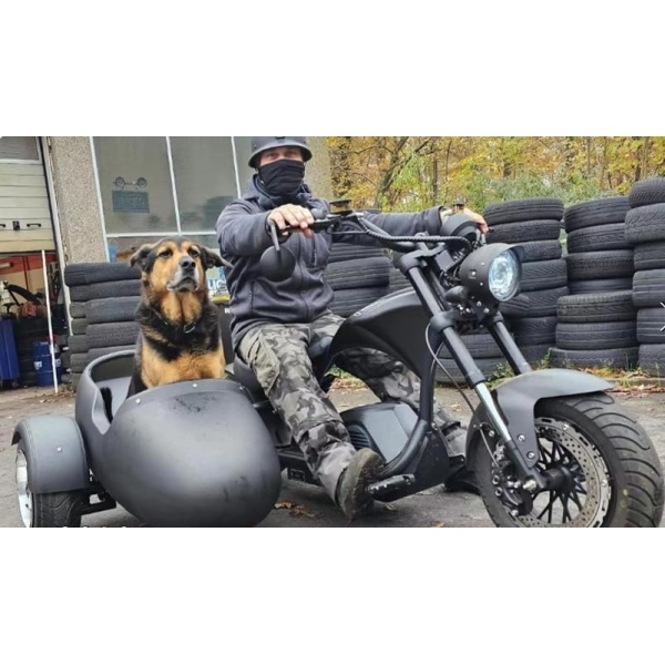 M1P Pro (2025 Upgraded) 4000W Electric Motorcycle for Adults 50MPH - Image 9